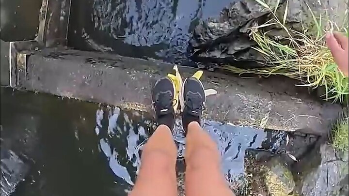 Chỉ là nhiệm vụ hàng ngày do ông lão giao thôi.