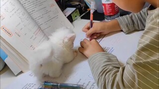 “Kalau pekerjaan rumah anak tidak dikerjakan dengan baik, pasti ada yang janggal!”