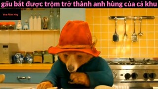 review phim Gấu Paddington tập 5 #reviewphim #phimhay #reviewphimhay