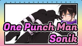 One Punch Man | [MMD Hiburan] Apakah Kau Menyukai Sonik yang Seperti Ini?