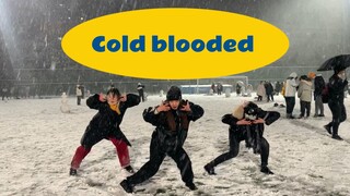 全网最冷的cold blooded（还是我们）