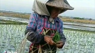 emak siapa sihh keren bgt+soundnya sangat mendukung sekali😌