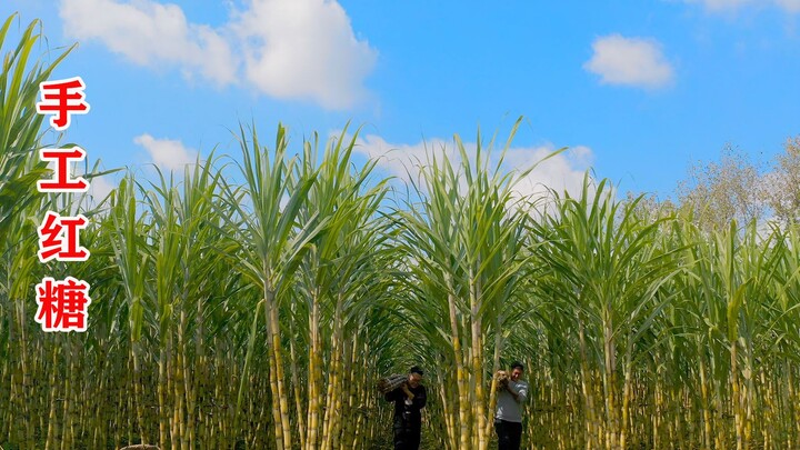 Made homemade brown sugar from 200 jin of sugarcane—3 days of backbreaking work, and the result was 