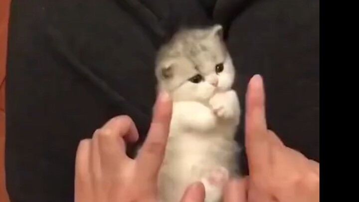 “น่ารักใช่ไหม! ถ้าน่ารักก็ถูกต้องแล้ว~”