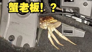 汽修工遇到的离谱故障,客户说车里真的很臭