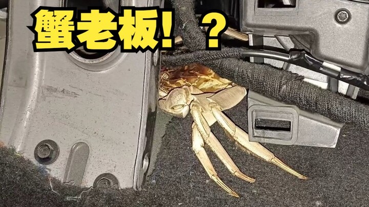 汽修工遇到的离谱故障,客户说车里真的很臭