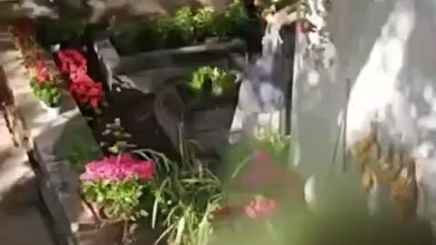 The Upper Class Mocked Me As A Country Girl Full Movie