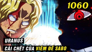 Viêm đế Sabo bị Im-sama xoá sổ , Số phận Sabo giờ ra sao ? [ One Piece 1060 ]