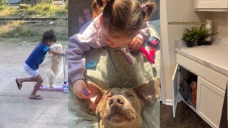 How boring would a childhood be without a dog?