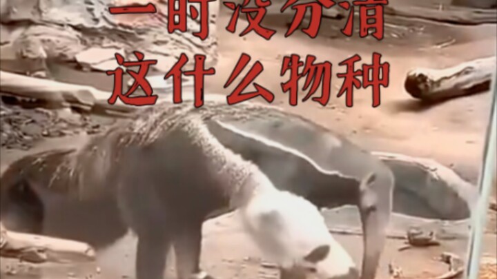 Thought the New Year’s Day holiday kicked off way too hard