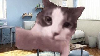 [Cat meme] My cousin who is a cooking genius in the first grade of junior high school performed a cu