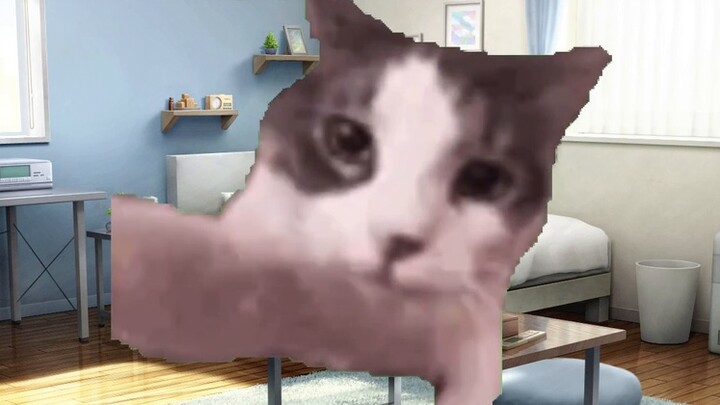 [Meme kucing] Tentang sepupuku yang merupakan seorang koki kelas satu SMP yang melakukan kutukan di 