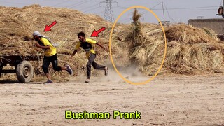 Try Not To Laugh Challenge With New BUSHMAN Prank  | Crazy Reaction Bushman New Fainted Video😃😅