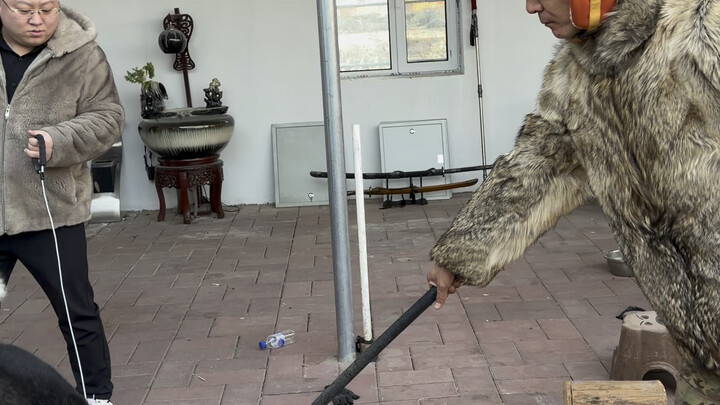 [Pan Hong’s Fun with Dogs] Check out my latest creation—don’t miss it!