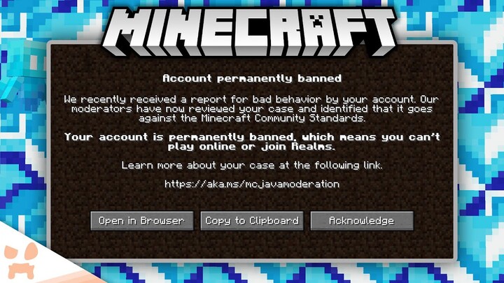 An Update On Minecraft's Most Controversial Update...