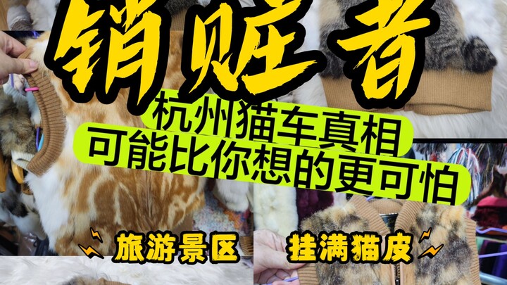 Hangzhou Cat Car on December 15: Exposing the Final Stolen Goods Distribution Route! Seen Everywhere