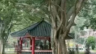 Malaysia