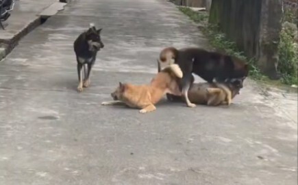 They can't even make a movie.