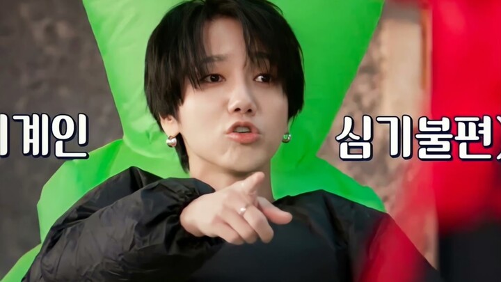 Thân thể dễ giật mình của mèo thật sự phản ứng đáng yêu quá! Kim Jong‑woon X Nhất Tiếu Huyền Mệnh