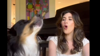 Anjing tidak tahu cara membantu, tetapi tetap mencoba menyanyikan lagu dari Titanic
