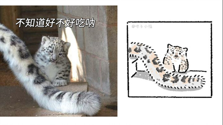 Vẽ vài con vật nhỏ & meme mèo