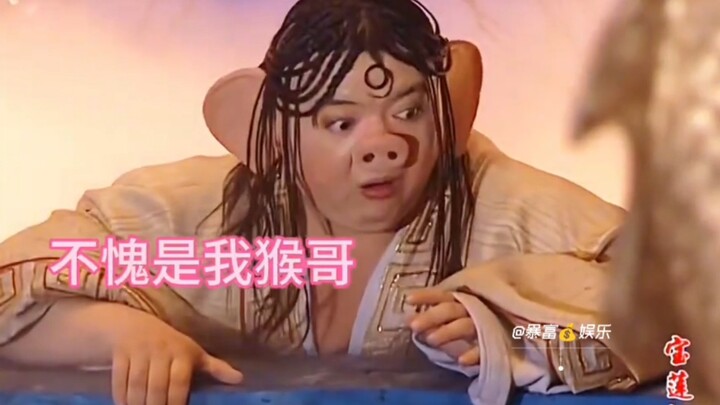 Trư Bát Giới: Hôm nay lại học được một chiêu từ sư huynh Tôn Ngộ Không!