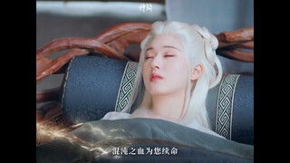 #zhaolusi X #shenyin Update 240108 | #thelastimmortal