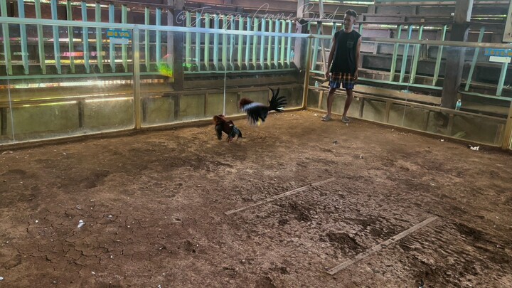 SBR Throwback/Blues (Yellow Gloves) Sweater Gilmore (Red Gloves)