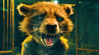 Since then, Rocket's biggest fear has been losing friends!