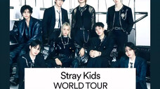 Stray Kids 世巡首尔场问候
