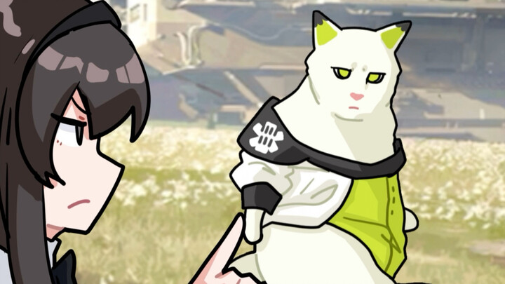 Old Cat Scratching pp[ Arknights ]