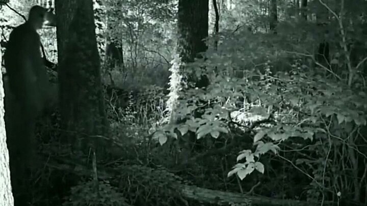 A trail cam caught THIS in the woods at 2:47 AM. No one was out there. #shorts