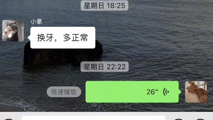 Mèo con đau răng gửi tin nhắn thoại cho bác sĩ