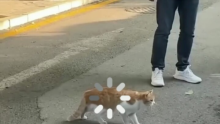 Hakimi.exe không phản hồi