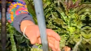 劳动人民智慧多