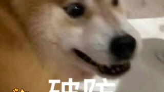 Lucu kah? Aku hanya melihat seorang ayah tua yang putus asa dan membela anaknya~