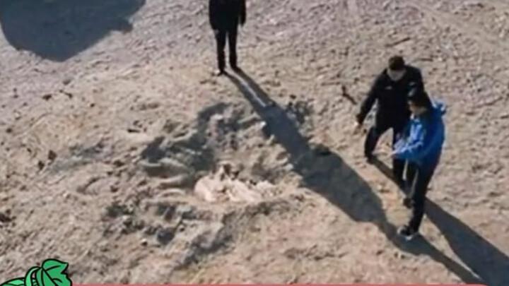 Salam untuk Li Zhonghua!