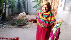 qurbani ke liye Bakra vlog | Mian Asad Vlogs