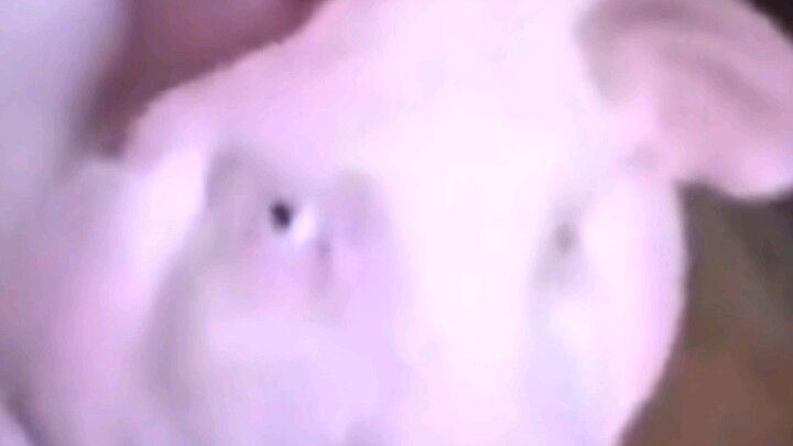 “Satu Pandangan Seribu Tahun”