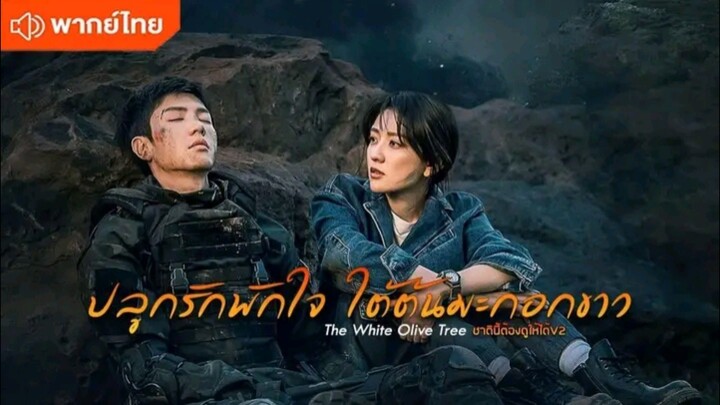 [พากย์ไทย]EP6ปลูกรักพักใจใต้ต้นมะกอกขาว
