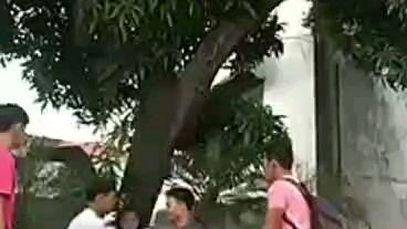 cara mencuri buah yg jitu