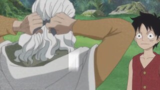 LUFFY'S RESULT OF TRAINING WITH RAYLEIGH