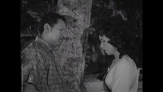 Ibu Mertuaku(1962)