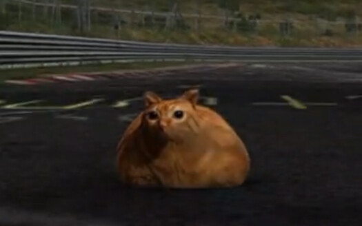 Kucingmu pada pukul 3 pagi: