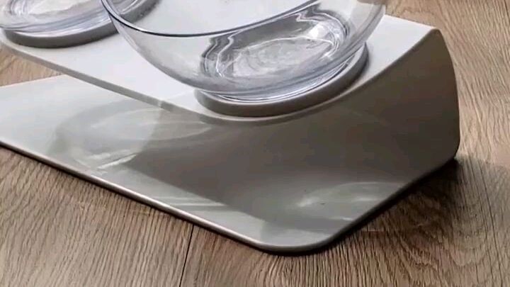 Cat Elevated Feeder Stand With Transparent Bowl