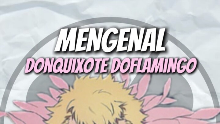 Donquixote doflamingo