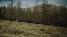 WOLF WARRIORS ( 2 0 2 4 ) 🎬🎬🎥🎞️🎥🎞️🎞️🍿
