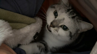 No one dislikes getting into bed; if there is, just turn on the electric blanket.