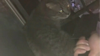 “总有刁民想害朕”