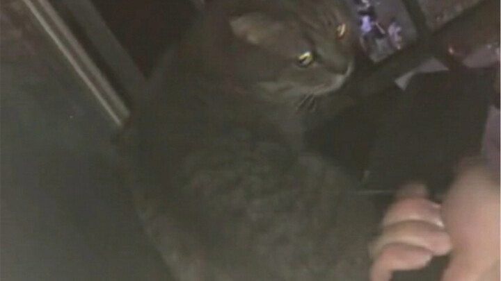 "There's always some scoundrel trying to harm me."